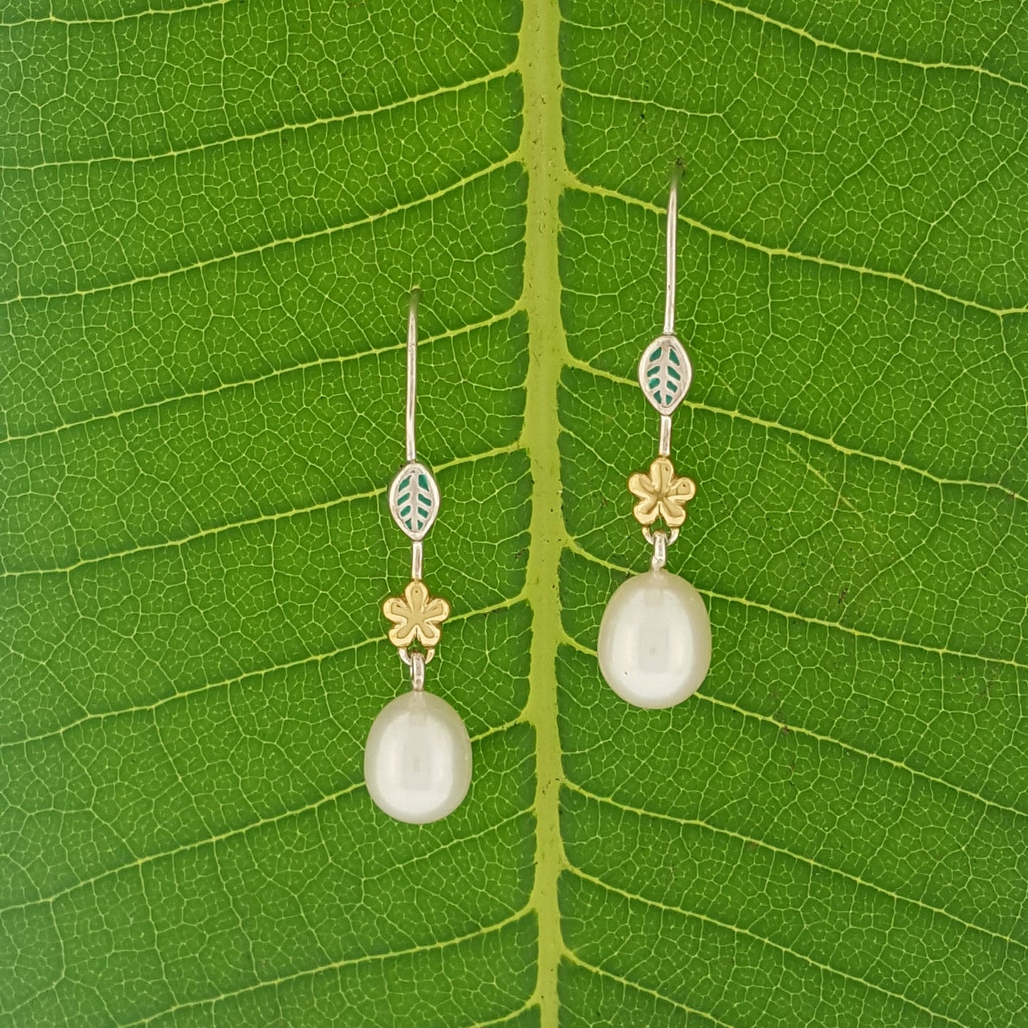 Spring  Earrings